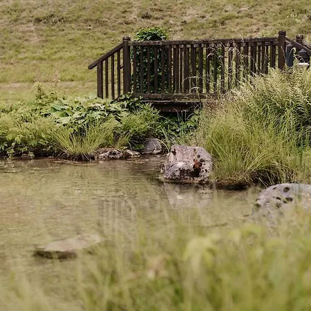 Шале Almliesl Unke-684 *